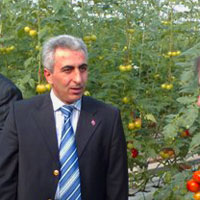 Hasan Şentürk