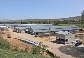 Dap(Doğu Anadolu Projesi) desteğiyle kurulan Sancaktepe köyündeki çiftlik, 110 bin metrekarelik bir alana sahip...