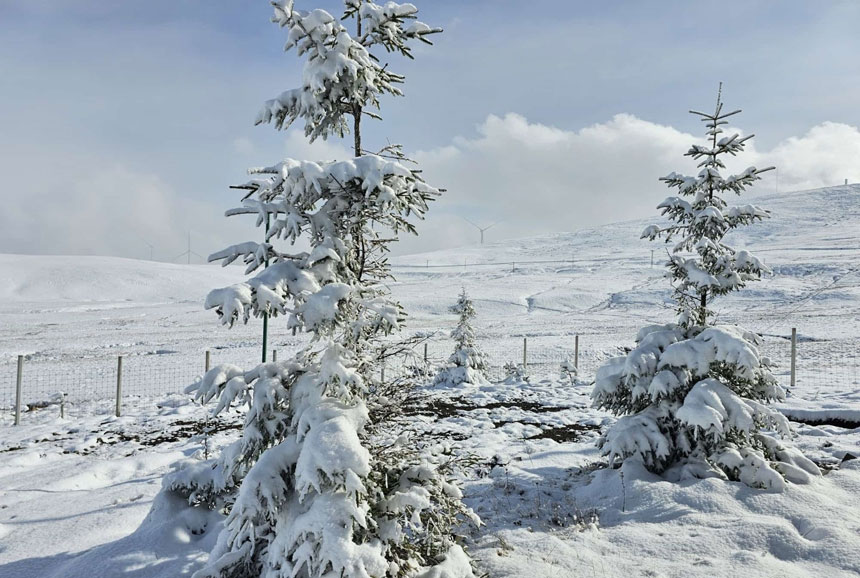 Bayburt Un Dumlu Koyu Kis Yalnizligina Burundu1