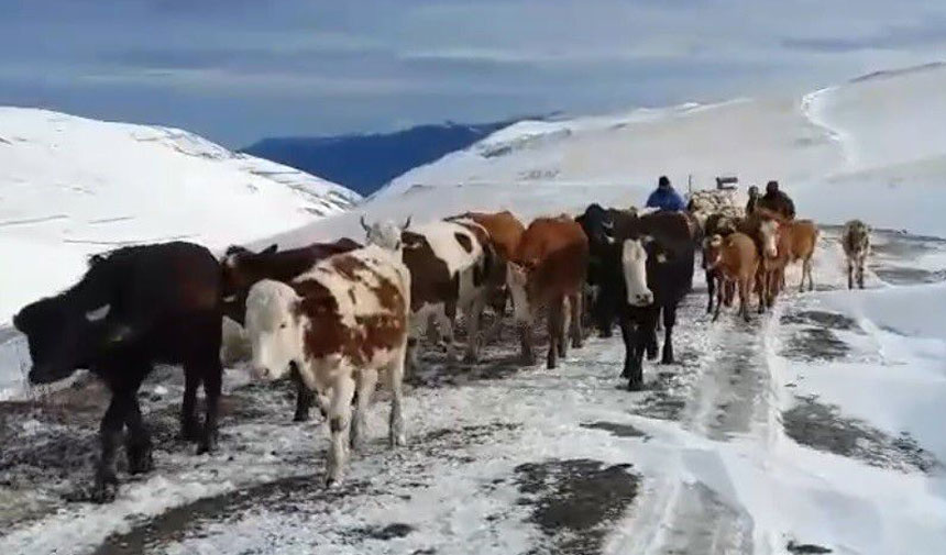 Bayburt Ta Gocerlerin Donusu