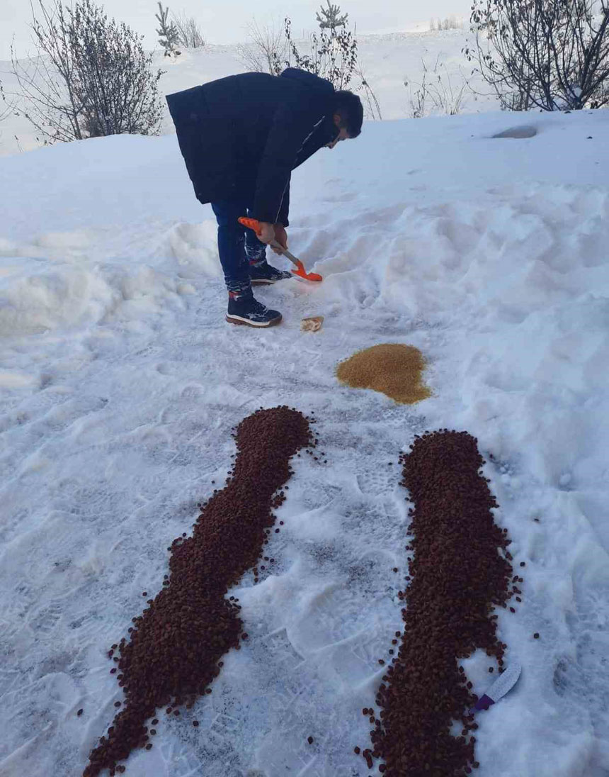 Bayburtta Hayvanlar Icin Dogaya Yiyecek Birakildi1