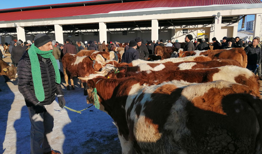 Bayburt Belediyesi Hayvan Pazari 1 Ayin Ardindan Kapilarini Acti2