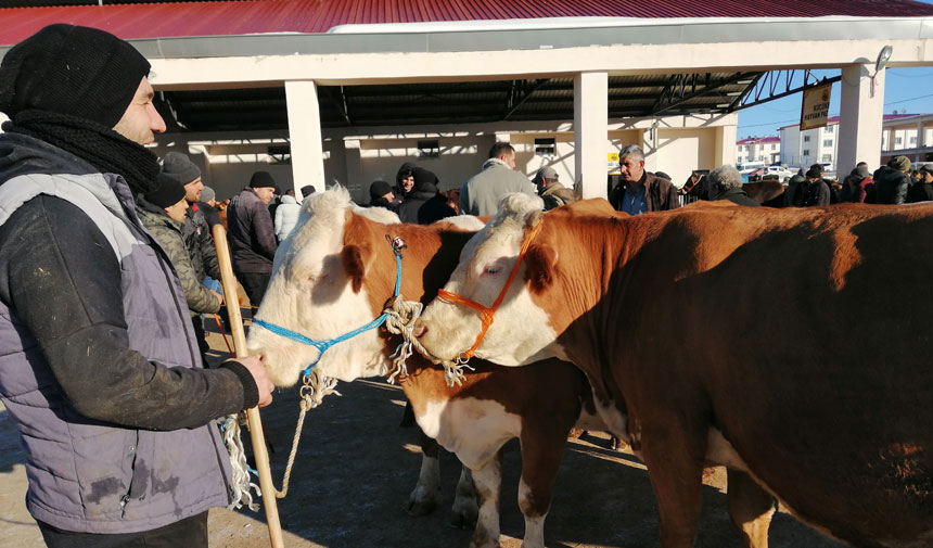 Bayburt Belediyesi Hayvan Pazari 1 Ayin Ardindan Kapilarini Acti3