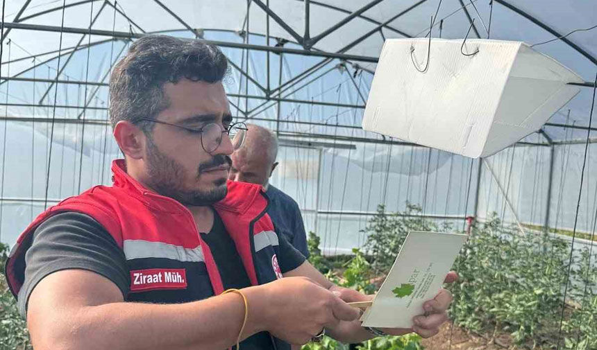 Bayburt'un üç ayrı yerinde biyoteknik mücadele