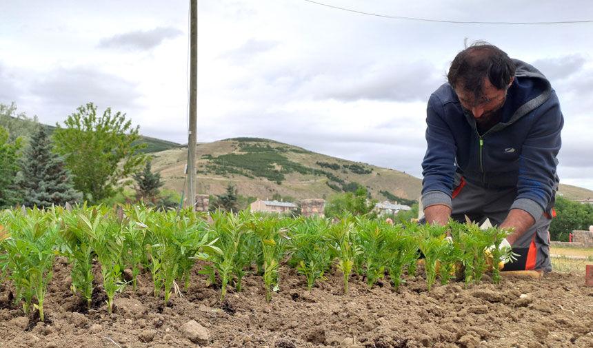 Bayburt Belediyesi Sahada Yogun Tempoda Calisiyor3