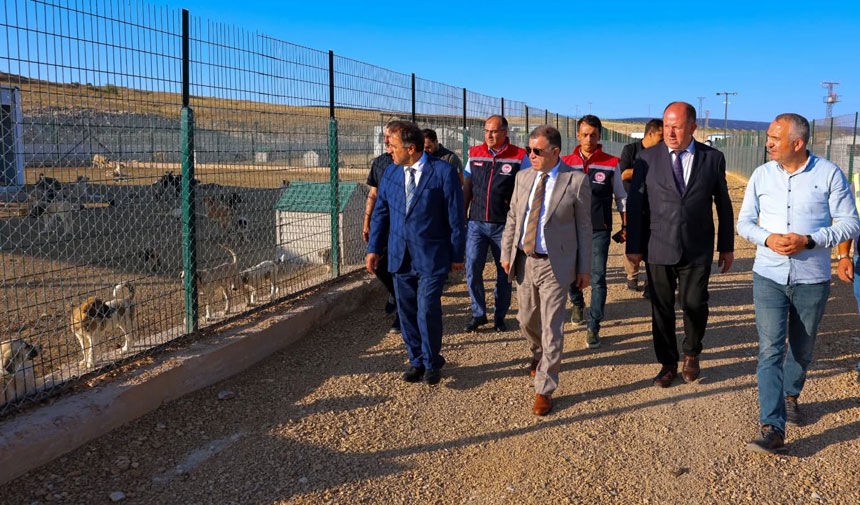 Vali Eldivan ve Bakan Danışmanı Karaca, hayvan barınaklarını inceledi