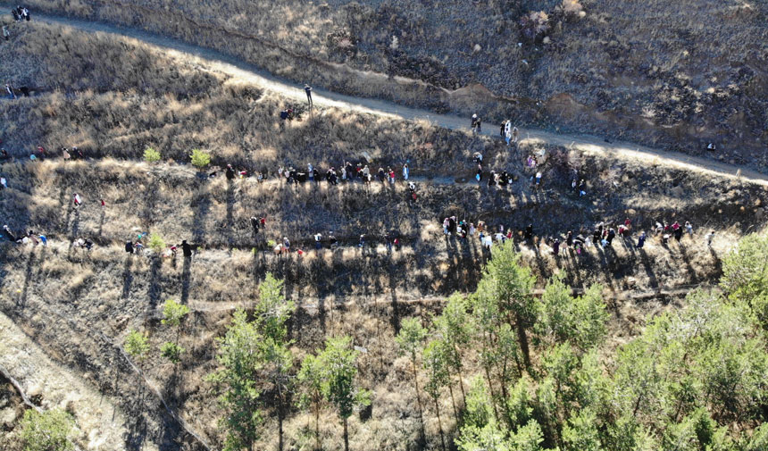 Bayburtta Ogrenciler Aileleriyle Birlikte Yesil Vatan Icin Fidan Dikti2
