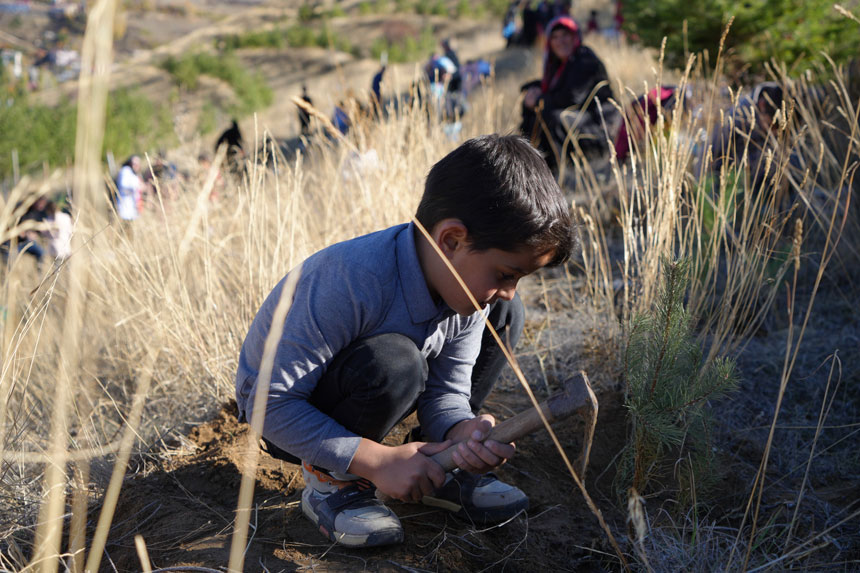 Bayburtta Ogrenciler Aileleriyle Birlikte Yesil Vatan Icin Fidan Dikti4