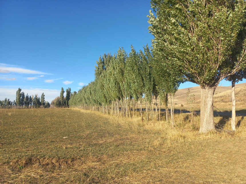 Dsinin Kirklartepe Projesi Aksacli Koyunde Magduriyet Olusturdu4