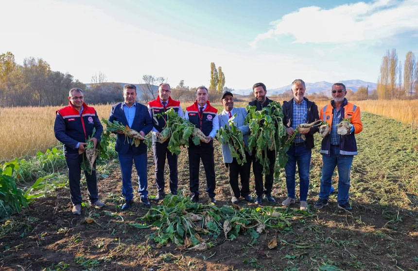 Ayburtta Seker Pancari Hasadi Basladi 135 Bin Ton Rekolte Bekleniyor1