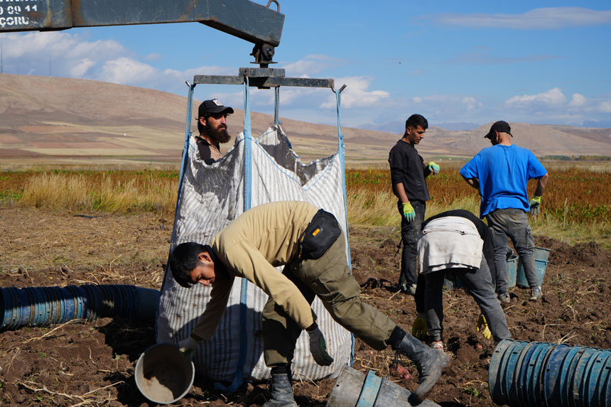 Bayburtta Patates Hasadina Iranli Isciler Yetisti Tek Sikintimiz Isci Ve Barinma3