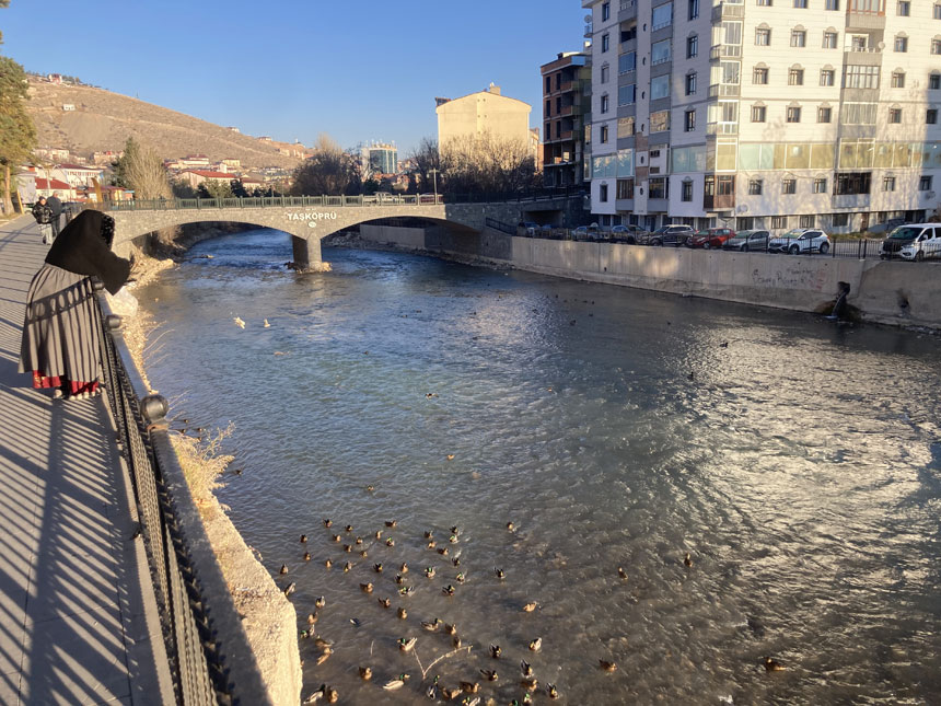 Kaleardindan Tas Kopruye Bayburtun Kis Ordekleri Bu Yil Daha Kalabalik2