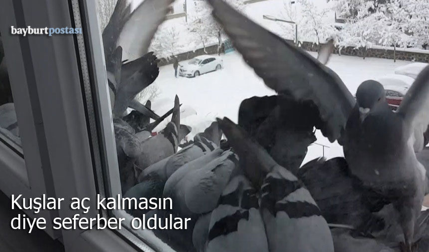Bayburt’ta Kar Esareti: Kuşlar Aç Kalmasın Diye Seferber Oldular