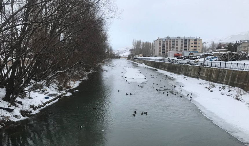Sibiryadan Bayburta Kis Gocu Coruh Nehrinde Gorsel Solen1