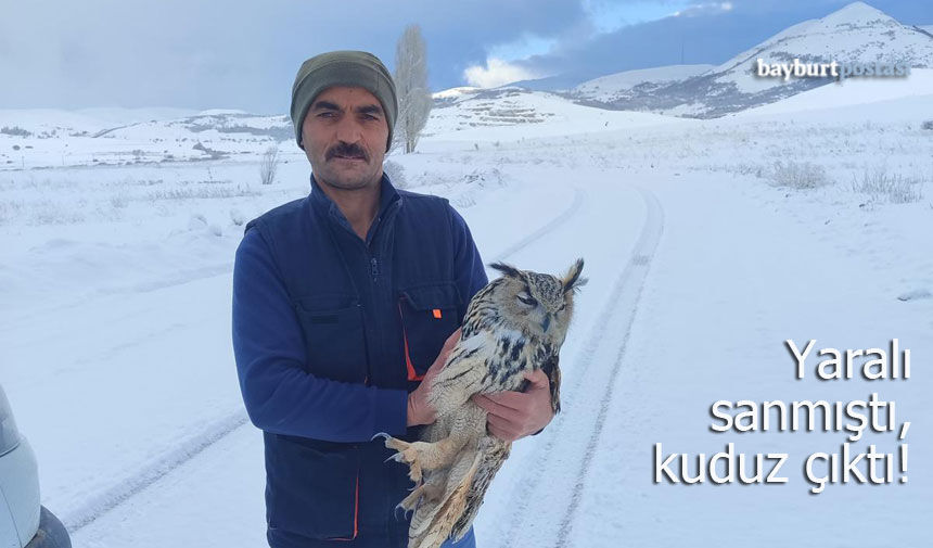 Bayburt’ta Sıra Dışı Olay: Yaralı Sanılan Puhu Kuşu Kuduz Çıktı!