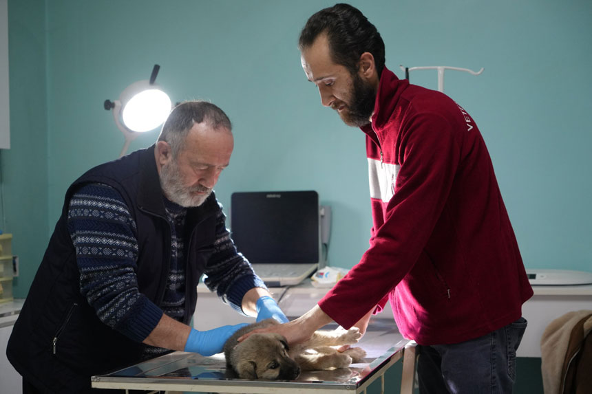 Tir Soforu Yildiray Ata Umut Oldu Yarali Buldugu Yavru Kopek Tedavi Altinda3