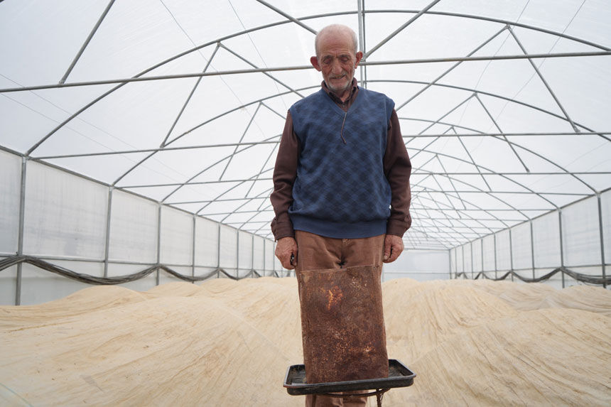 76 Yasindaki Ismail Oksuzun Ata Tohumu Nobeti Serada Uc Kademeli Onlem1