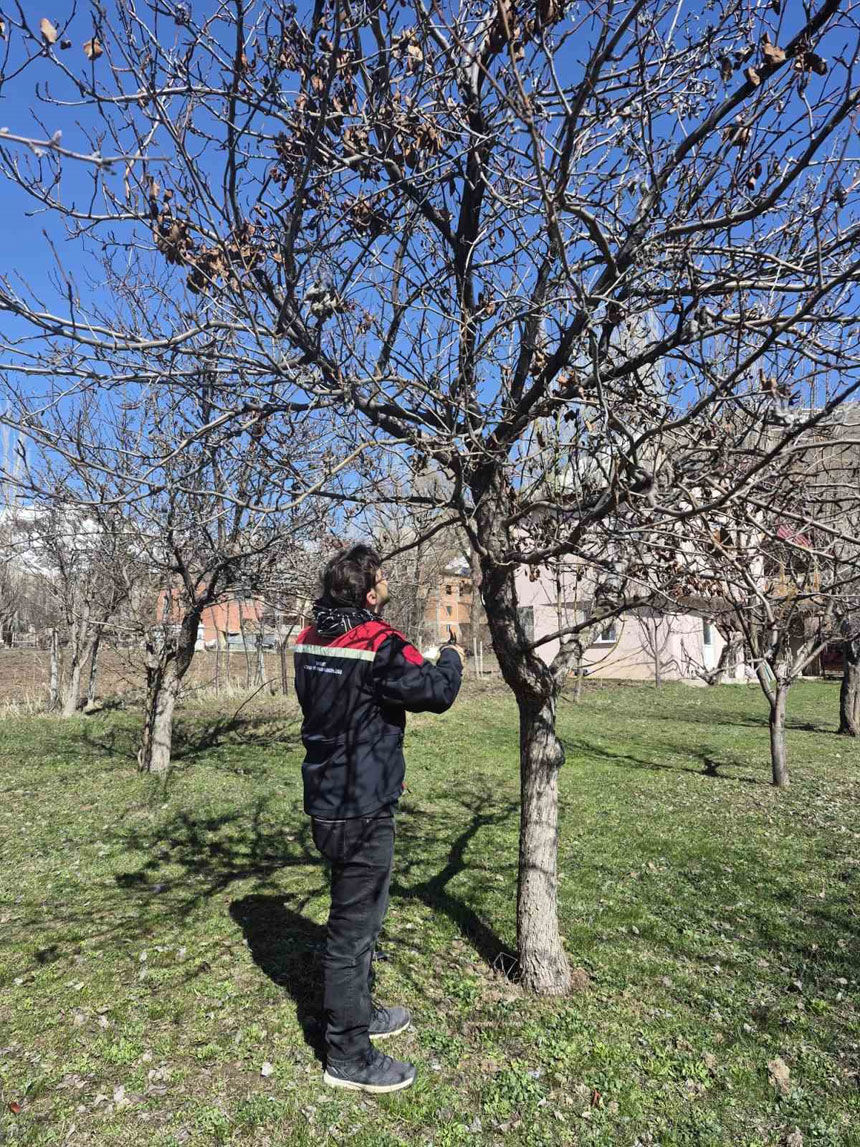 Uretici Istedi Uzmanlar Geldi Aydintepede Bahce Bakimlari1