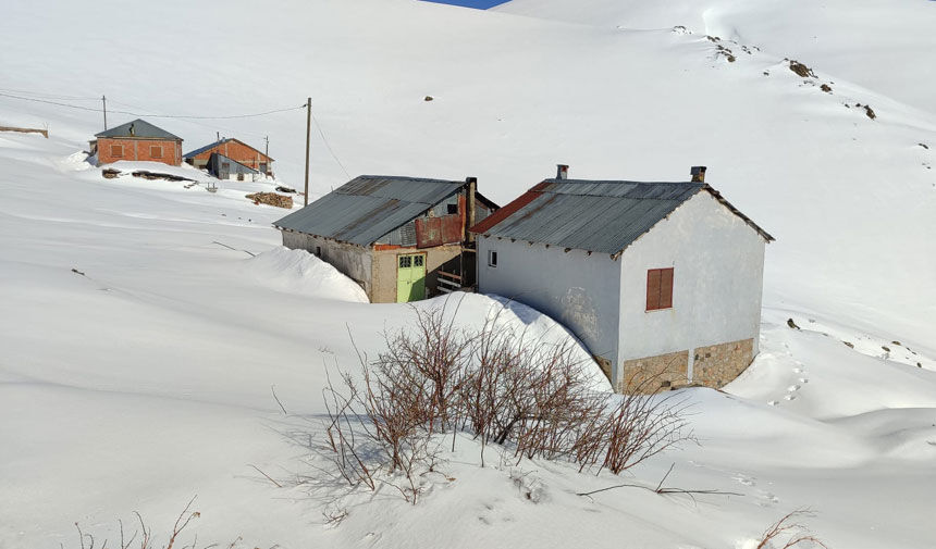 Ayi Istilasina Ugrayan Saricicek Yaylasinda Ulasim Sorunu Cozum Bekliyor1