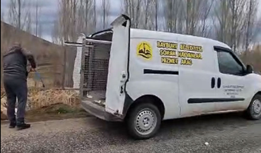 Sampiyona Yolunda Hayat Kurtaran Mudahale Yarali Kopege Sporcu Eli Uzandi1