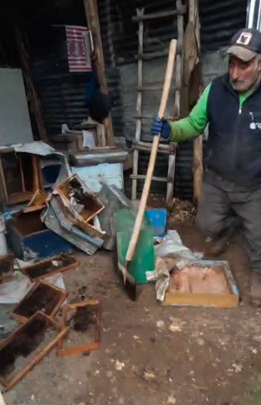 Bayburtta Ayi Dehseti Kis Uykusundan Uyanip Ariliklari Talan Ettiler1
