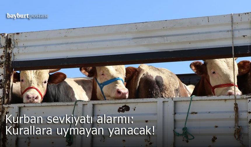 Bayburt’ta Kurban Sevkiyatı Alarmı: Kurallara Uymayan Yanacak!