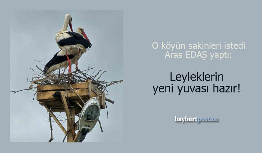 Taşkesenliler istedi, Aras EDAŞ yaptı: Leyleklerin yeni yuvası hazır!