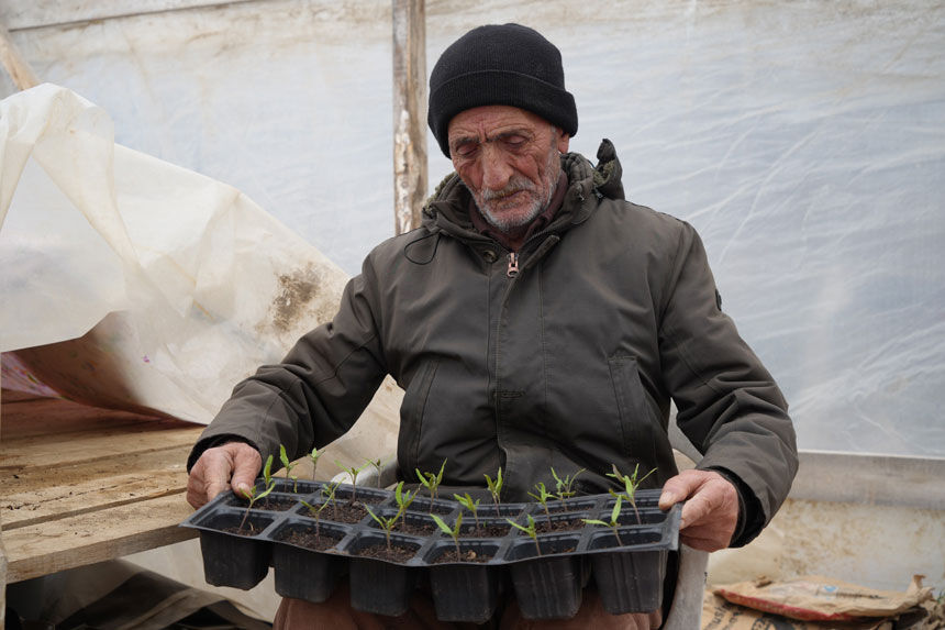 Aslandede Koyunde Viyol Yontemiyle Yerli Fide Uretimi1