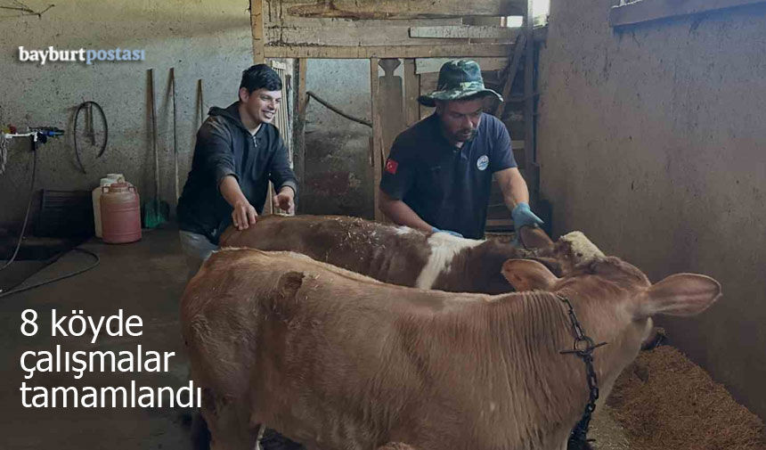 Aydıntepe’de 8 Köyünde Çalışmalar Tamamlandı