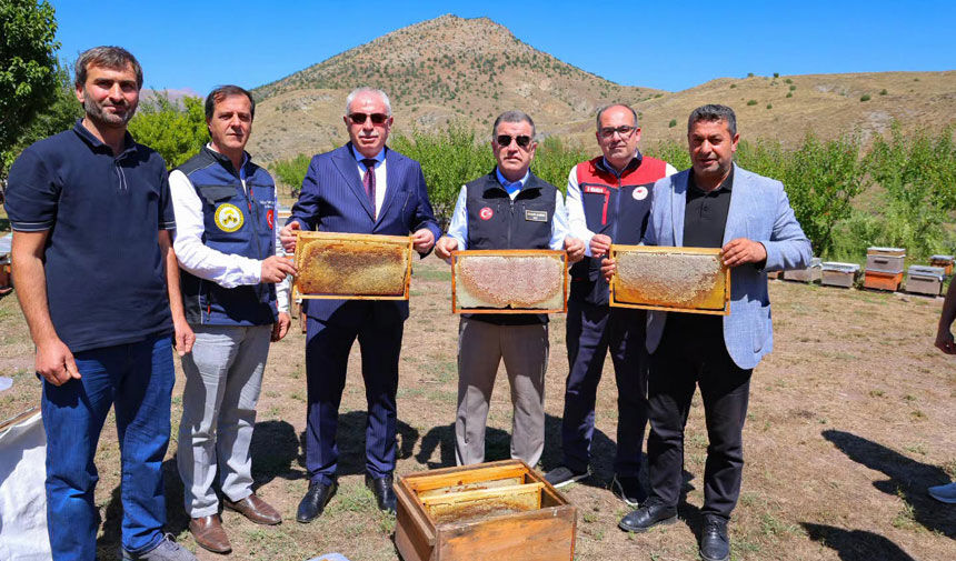 Karsigecit Koyunde Bal Hasadi Bayburtun Florasi Bal Kalitesini Artiriyor1