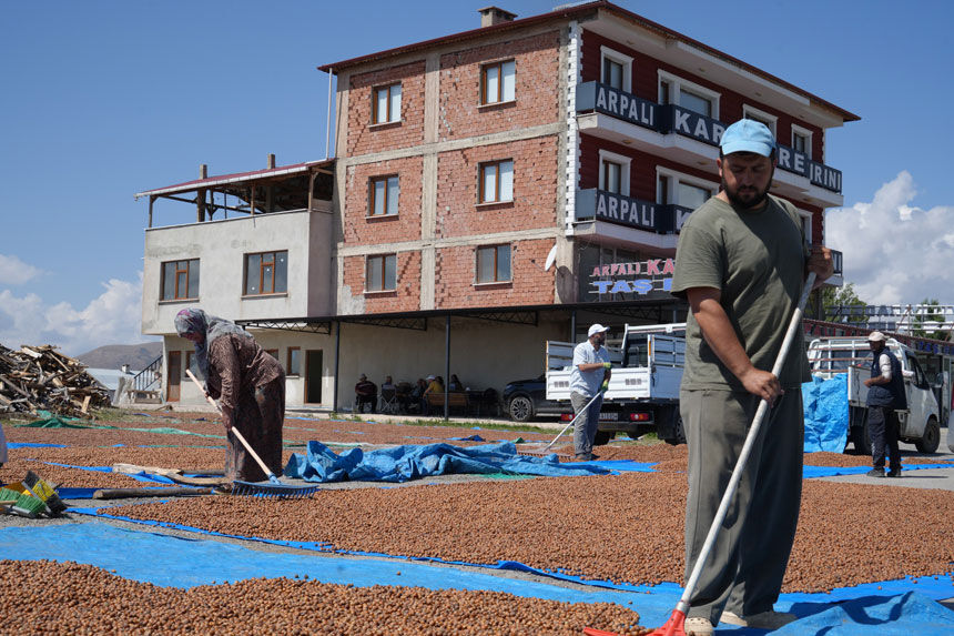 Trabzonda Toplandi Bayburtta Kurutuluyor Findik Ureticisinin Gunes Yolculugu2