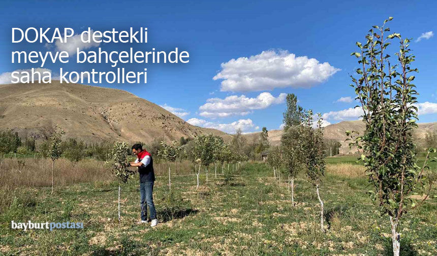 Bayburt’ta DOKAP destekli meyve bahçelerinde saha kontrolleri sürüyor