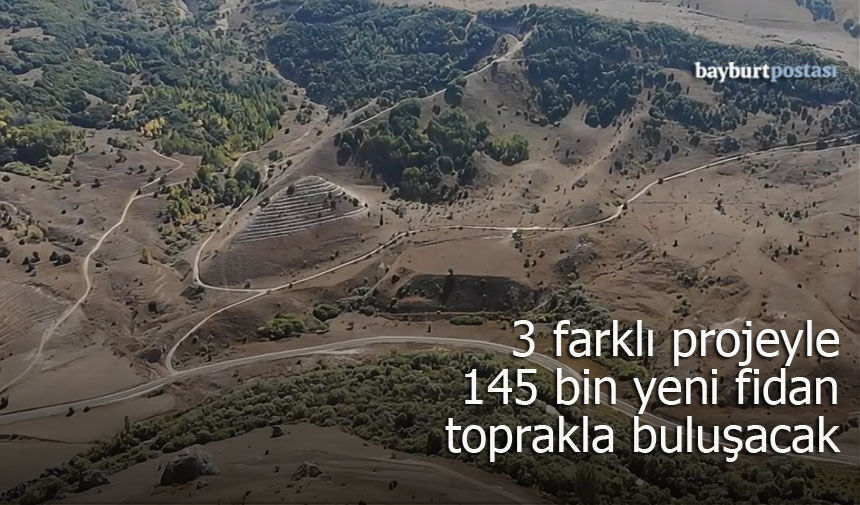 3 farklı projeyle Bayburt’ta 145 bin yeni fidan toprakla buluşacak