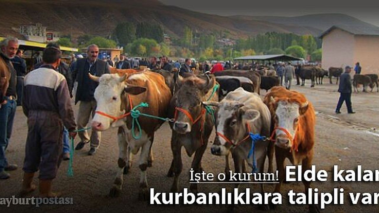 ESK, elde kalan tüm kurbanlıklara talip
