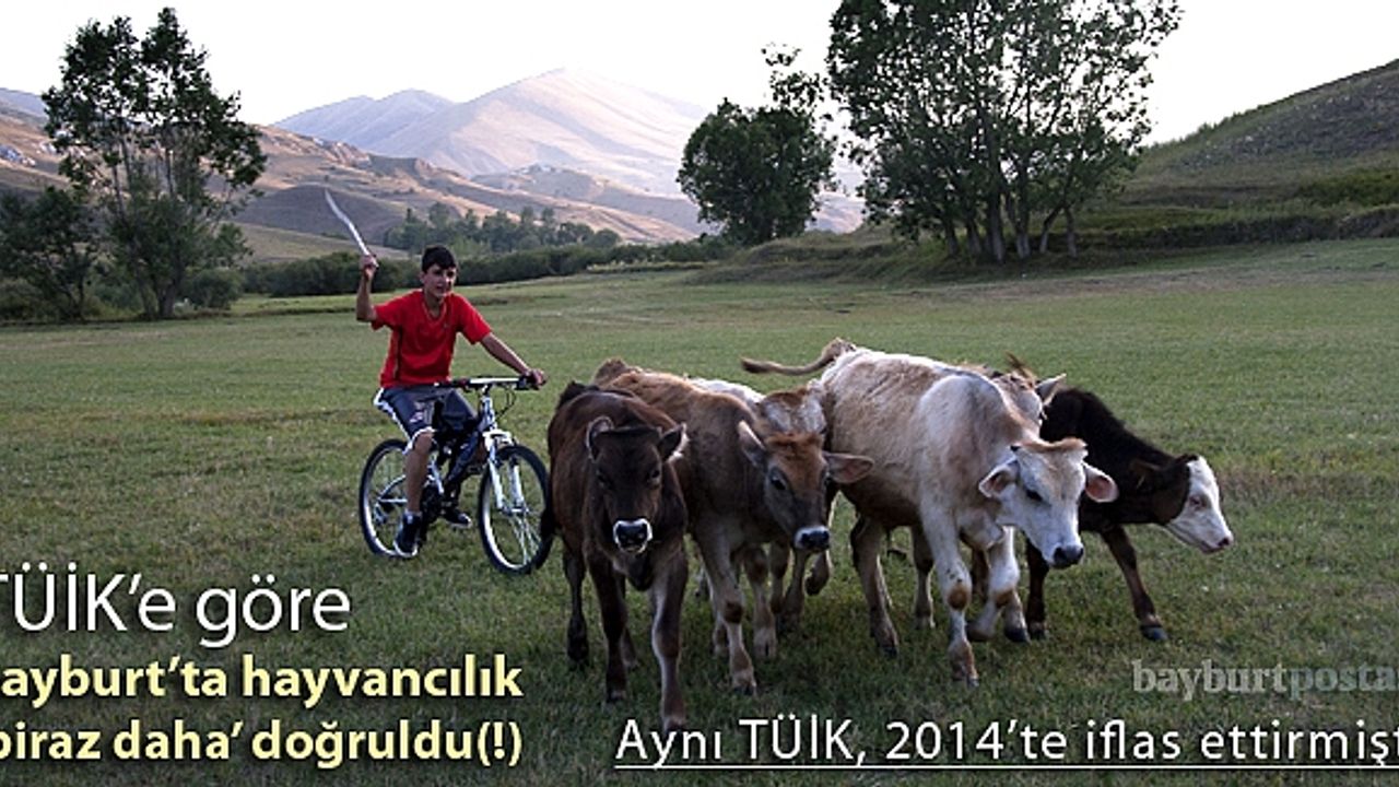 TÜİK’e göre, Bayburt’ta hayvancılık doğruldu!