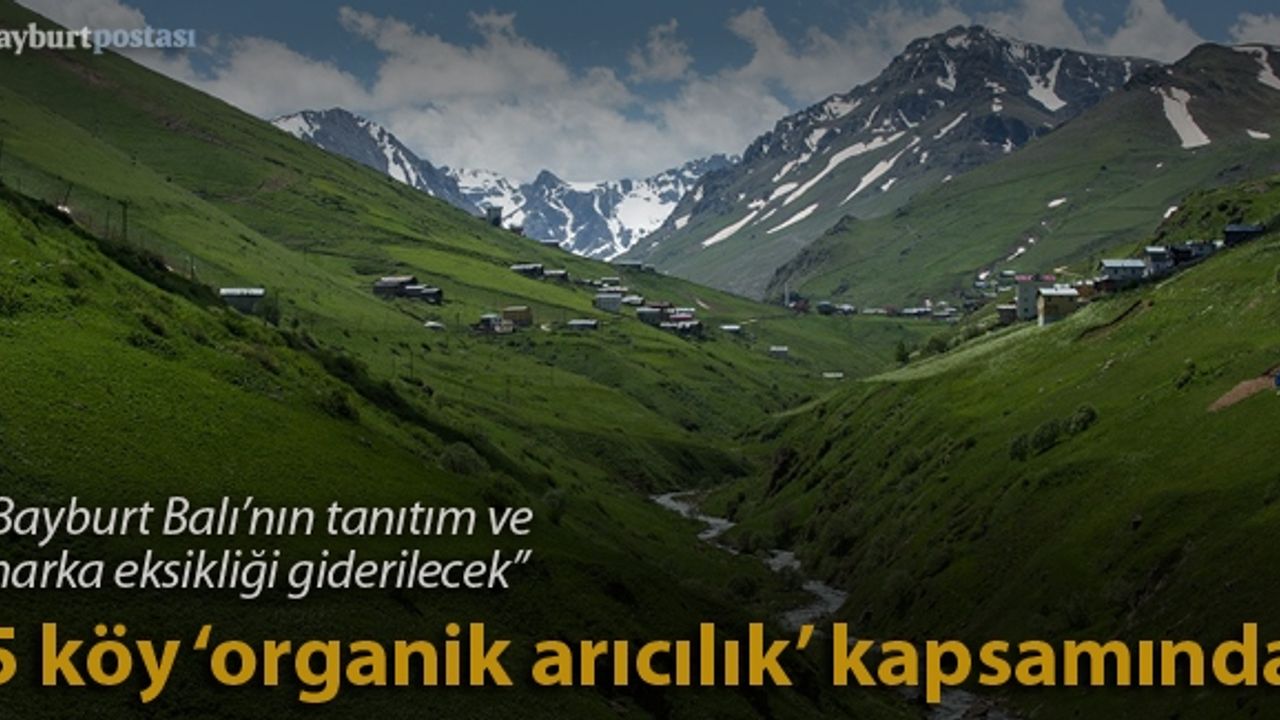 5 köy 'organik arıcılık' kapsamında
