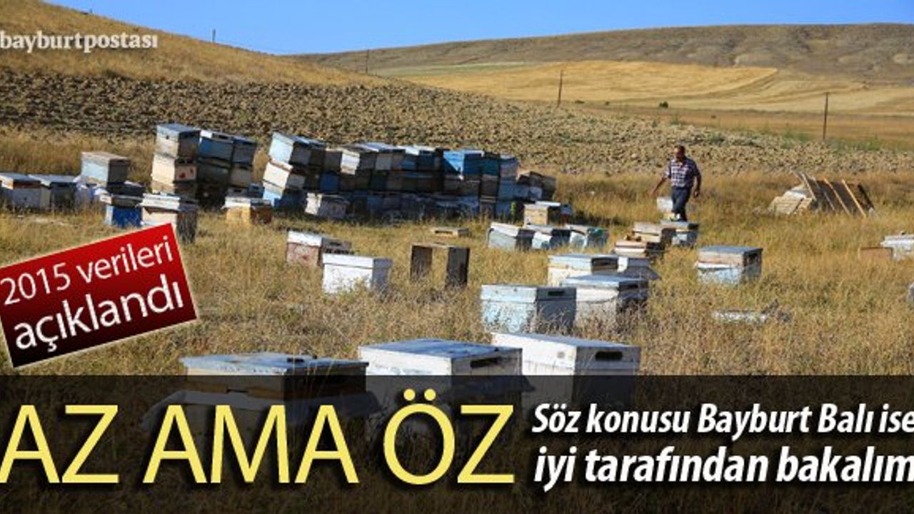 Bayburt'ta 2015'te ne kadar bal üretildi?