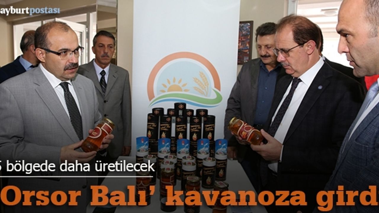 ‘Orsor Vadisi’nden süzülen organik lezzet’