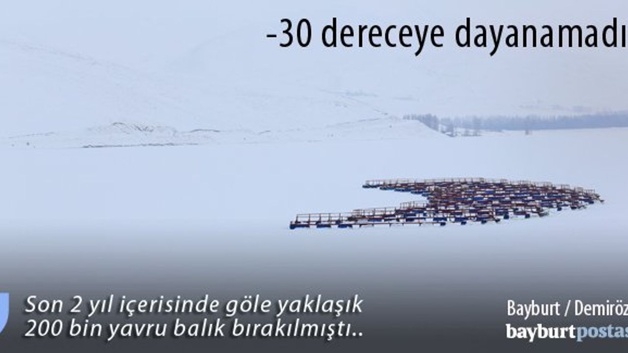 Demirözü Baraj gölü tamamen buz tuttu