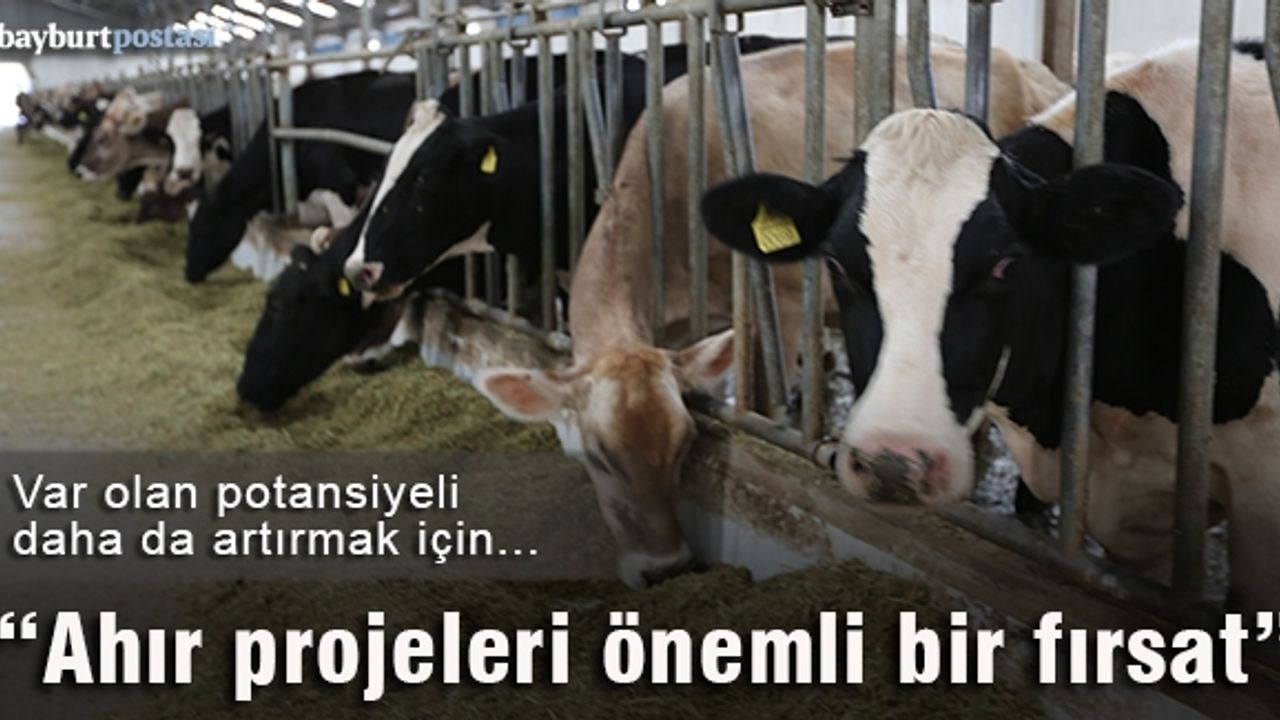 Karabulut: "Ahır projeleri büyük bir fırsat"