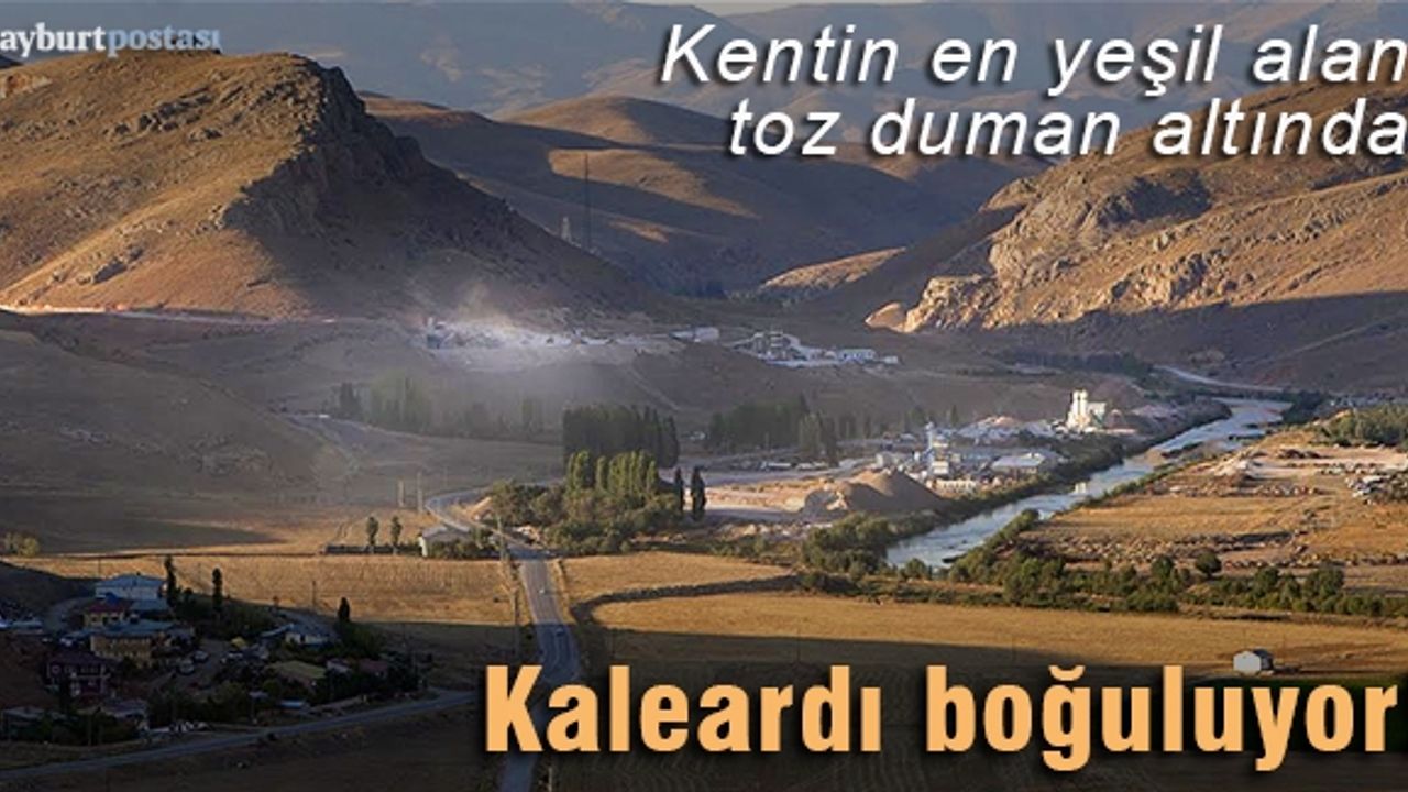 Kentin en yeşil alanı toz duman altında!