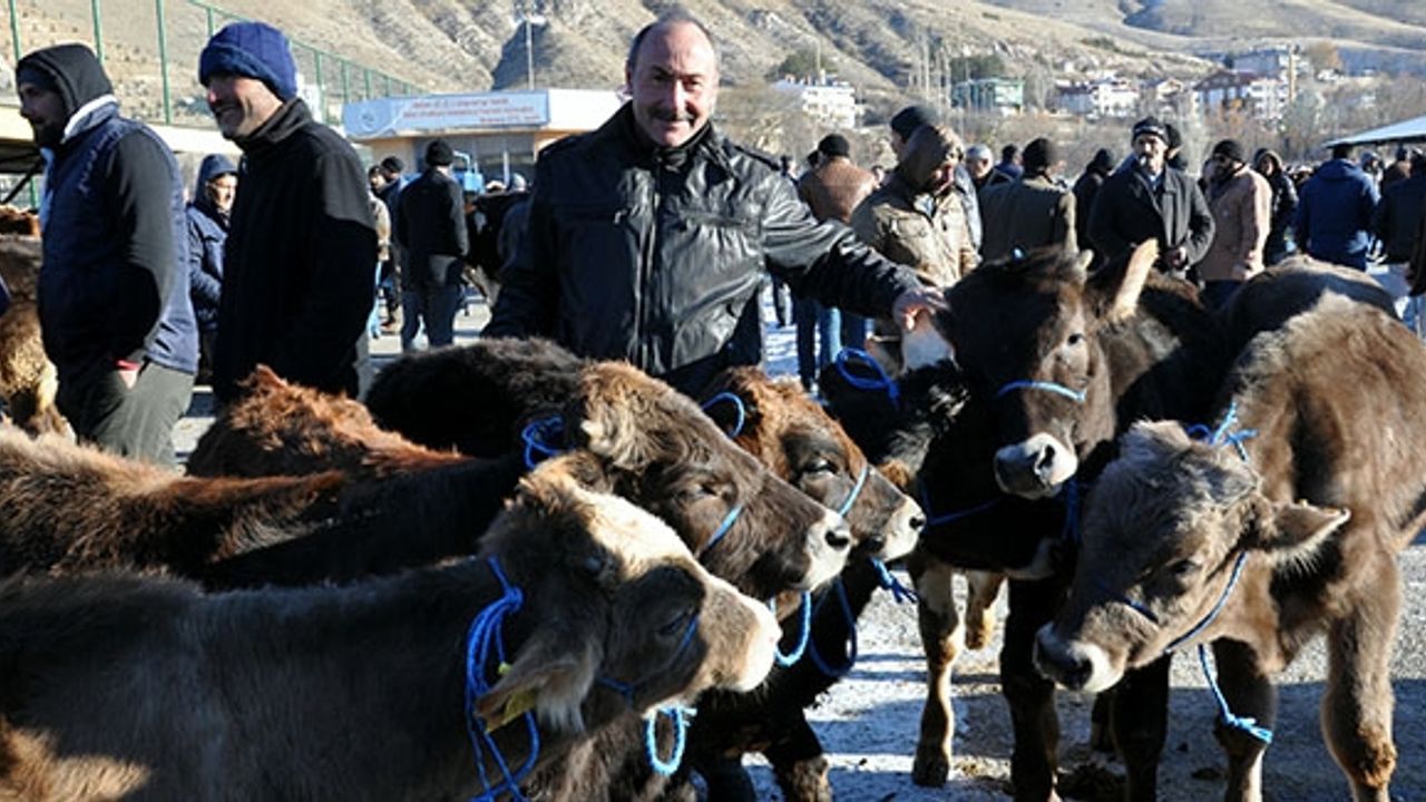 İkinci dönem 'buzağı desteklemeleri' için son günler