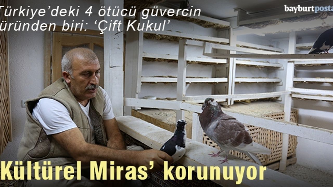 Asırlardır "Türk fısıldayıcısı"nın ötüşünü dinliyorlar