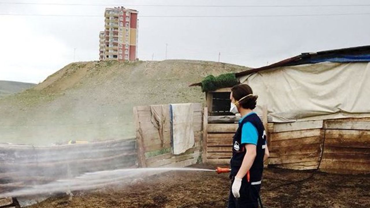 Bayburt Belediyesi İlaçlama mesaisine devam ediyor