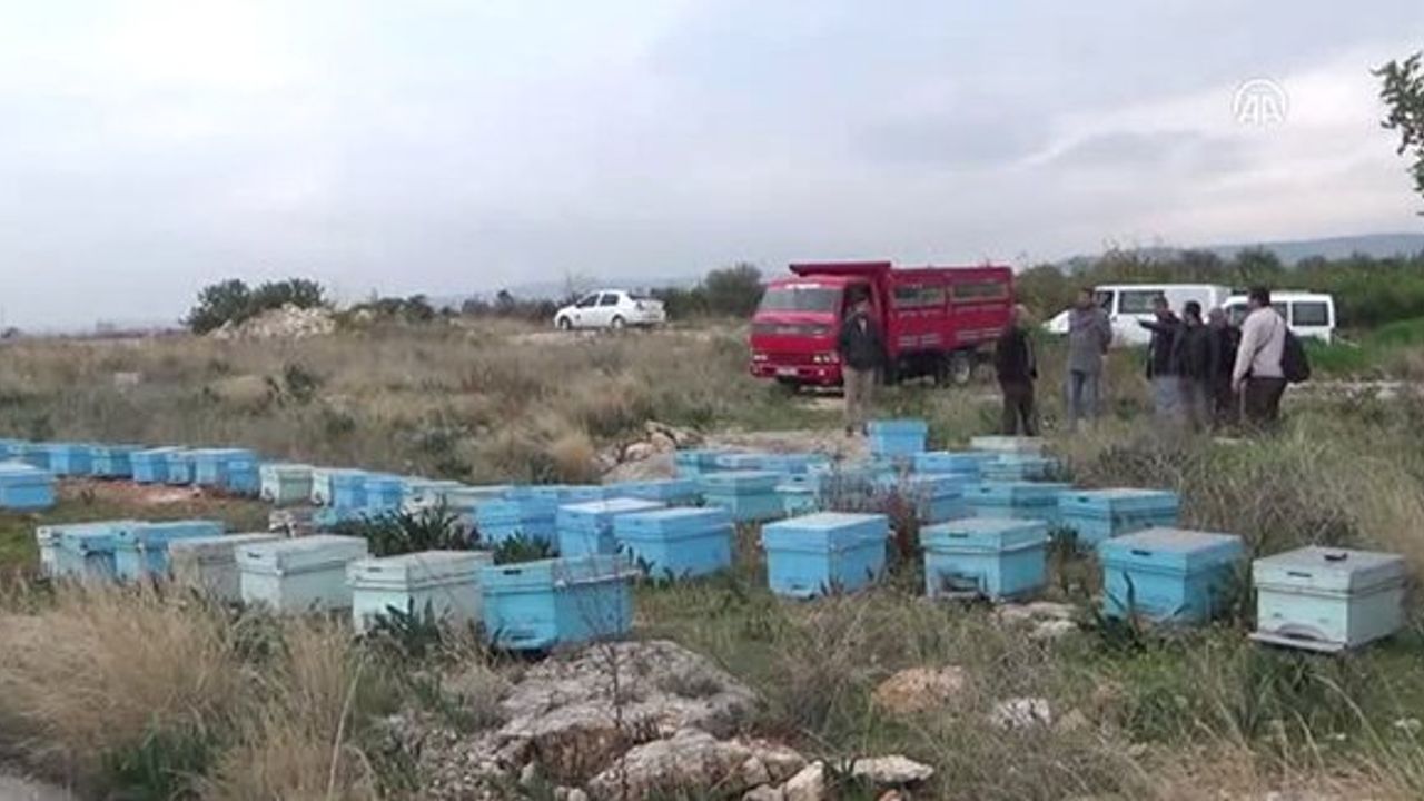 Bayburt'ta arı kovanı hırsızlığı iddiası