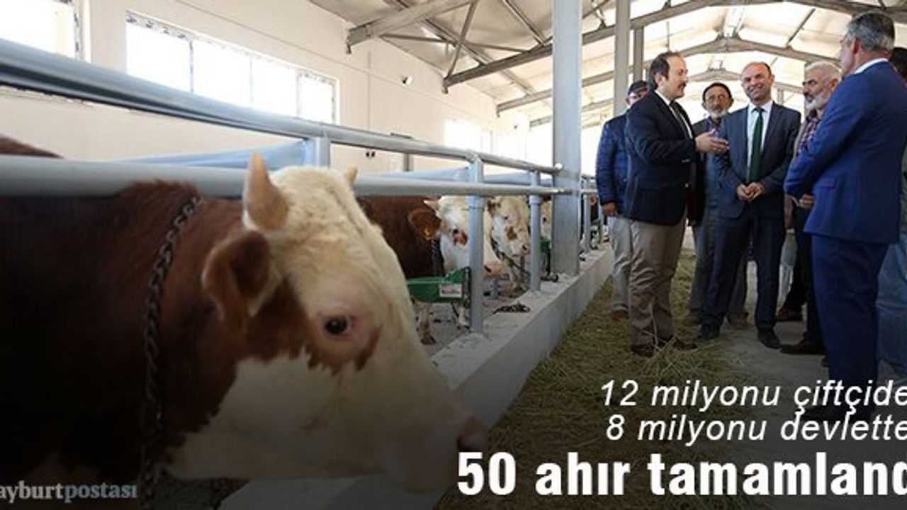 Bayburt'ta modern 50 ahırın yapımı tamamlandı