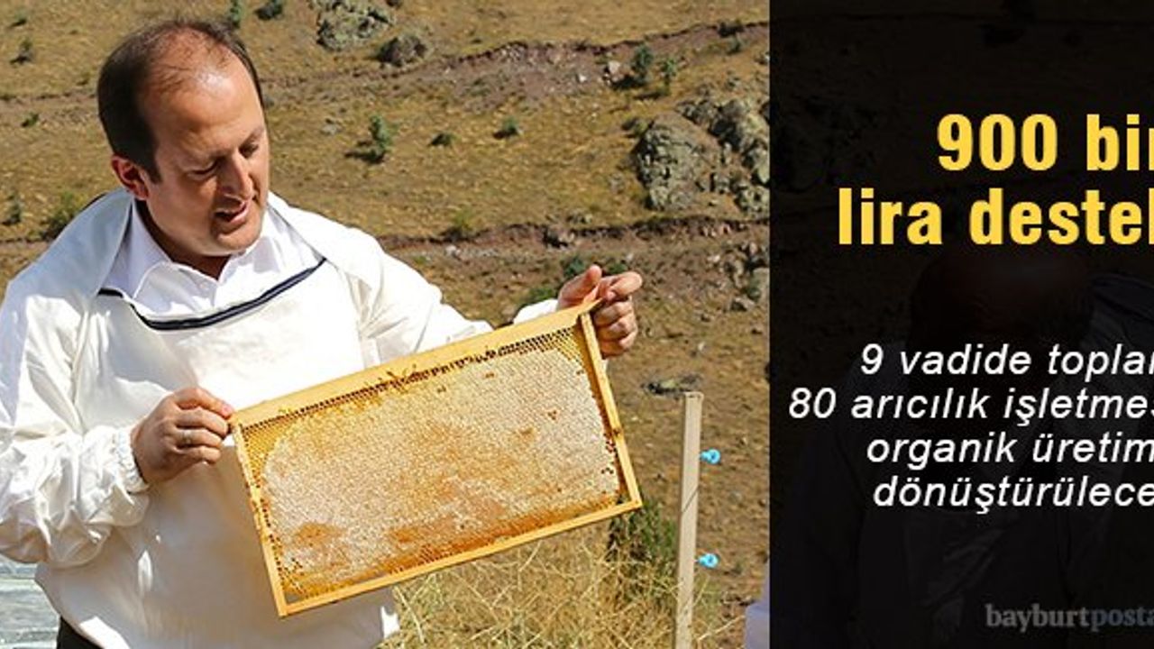 Organik bal üretimine 900 bin lira destek