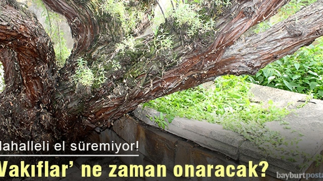 Sultan Fahriye Mezarı halen ilgi bekliyor?