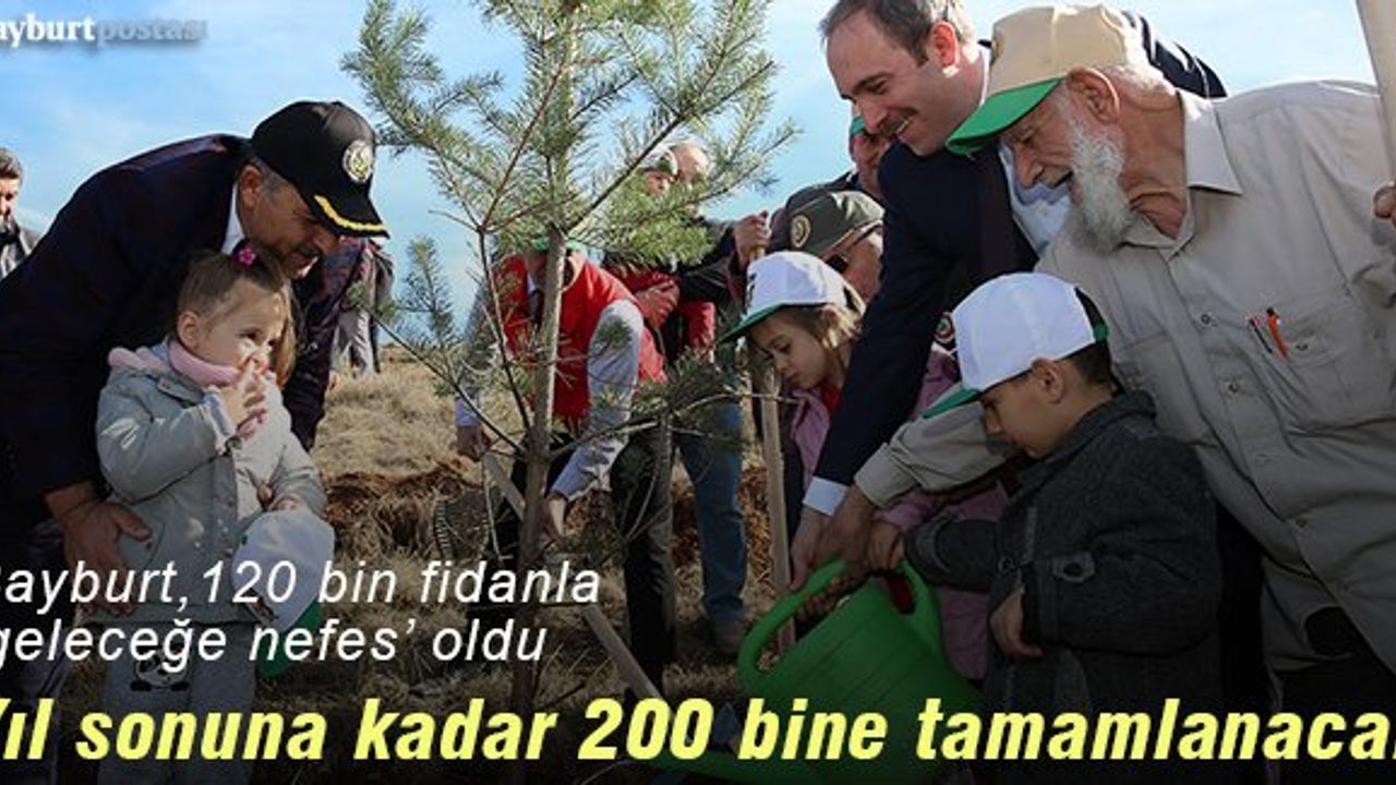 Bayburt, 120 bin fidan ile 'geleceğe nefes' oldu