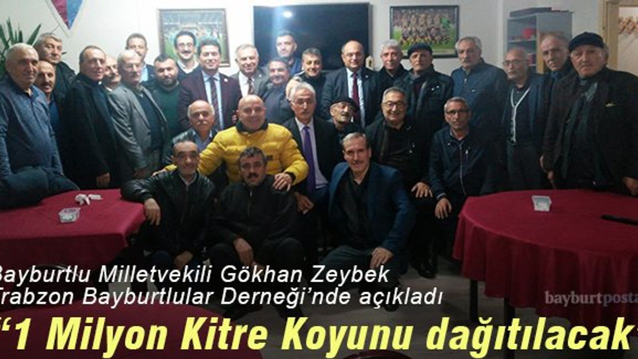 Zeybek: "Bayburt'ta 1 Milyon 'Kitre Koyunu' dağıtılacak"